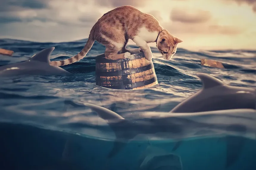 Melhores Raças de Gatos para Controle de Pragas