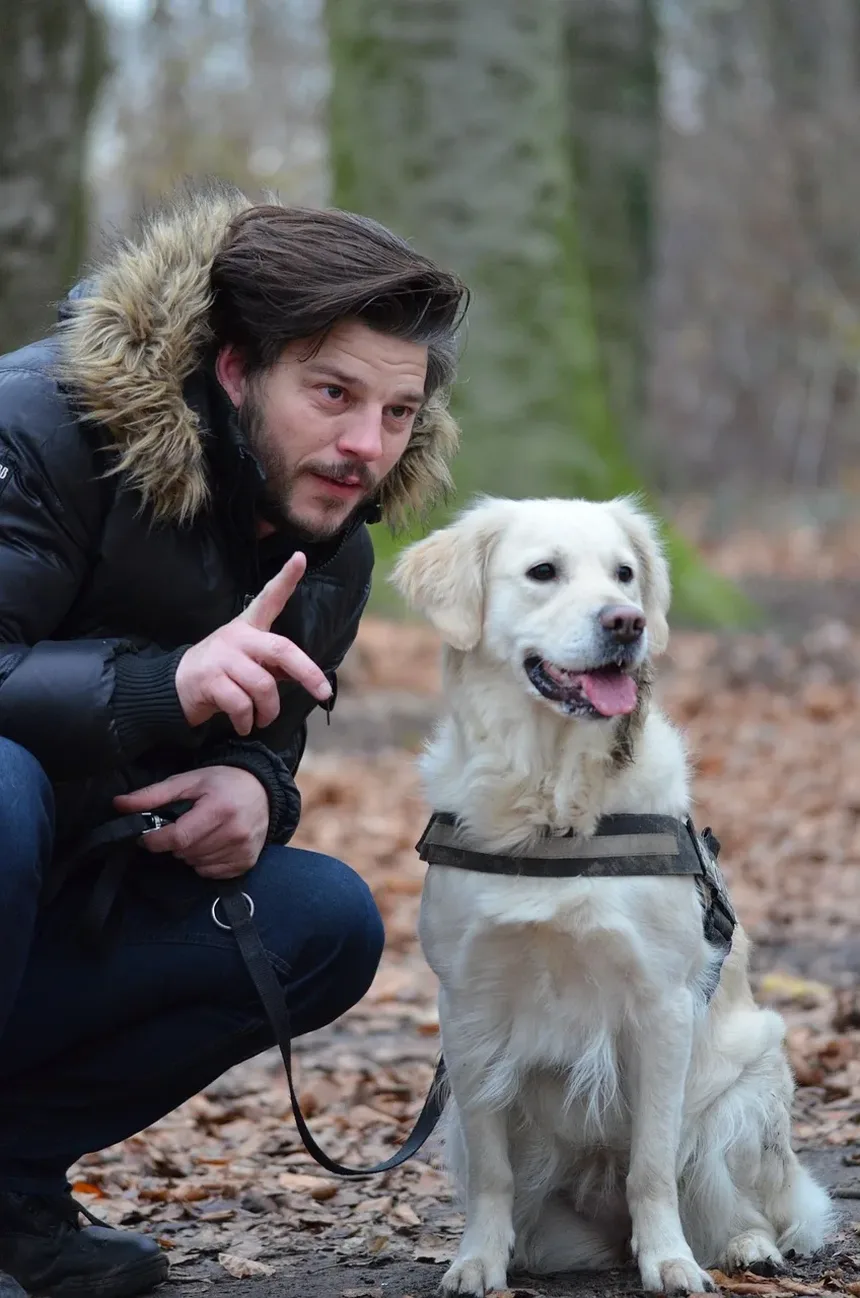 Remédios Naturais para Problemas de Ouvido em Cães: Um Guia Completo
